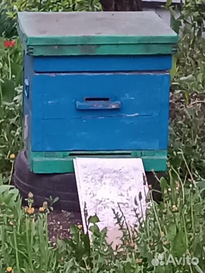 Улья для пчел
