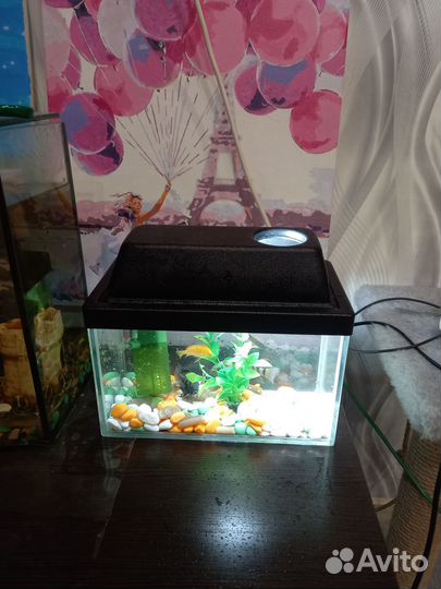 Аквариум с рыбками