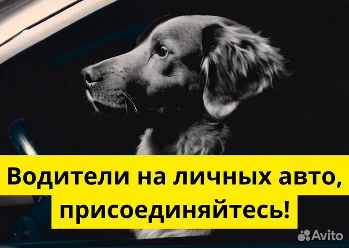 Вакансия в Яндекс.GO