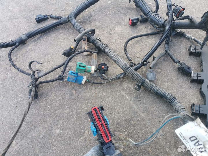 Моторная коса Ford Focus 2 1.6 115 л.с