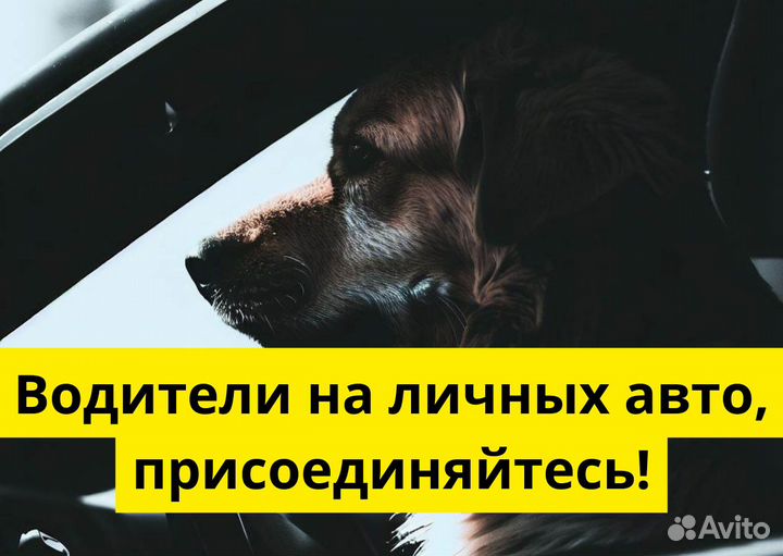 Работа водителем на л/а в Яндекс.Go