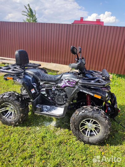 Avantis Hunter 200 BIG Premium