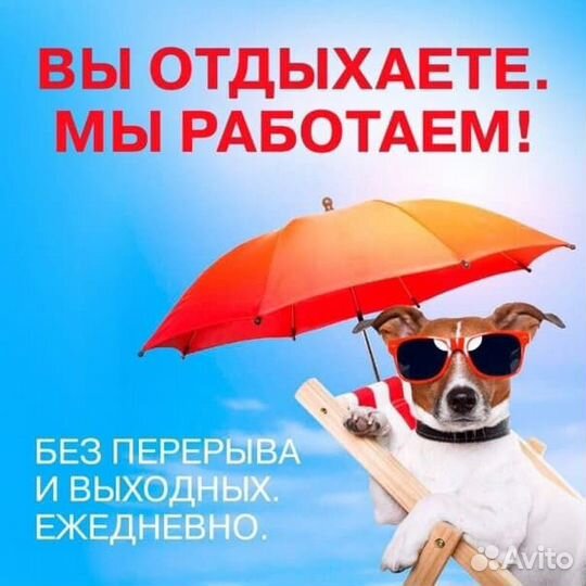 Обзвон холодной базы / холодные звонки