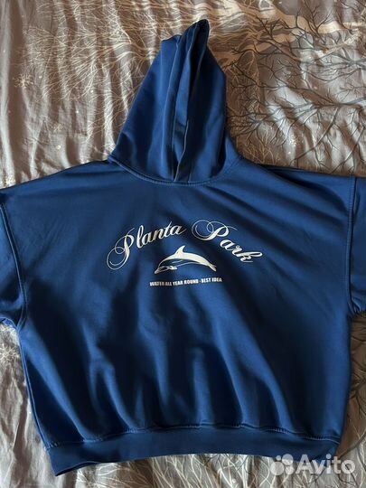 Planta rosa худи