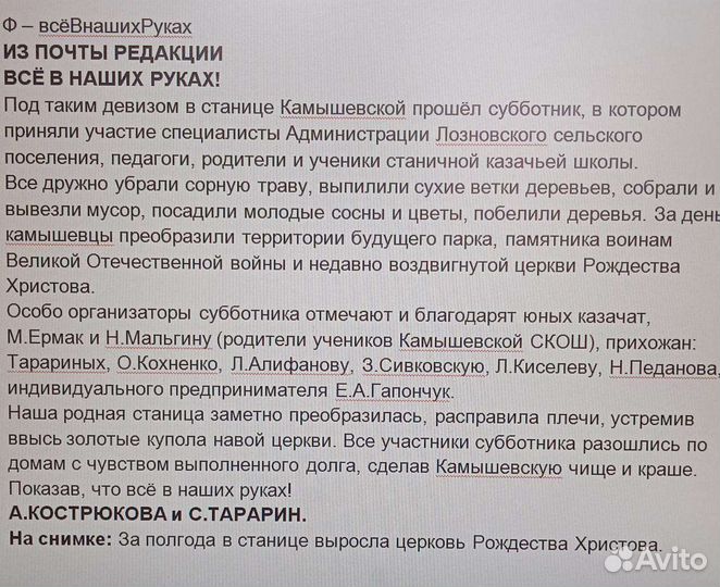 Козлики заано- нубийские, зааненский