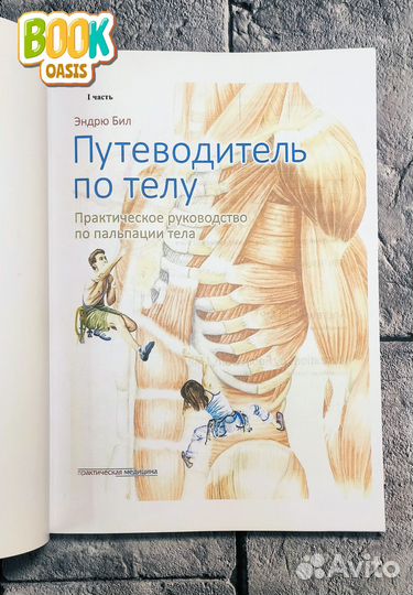Путеводитель по телу Эндрю Бил 1, 2 часть NEW