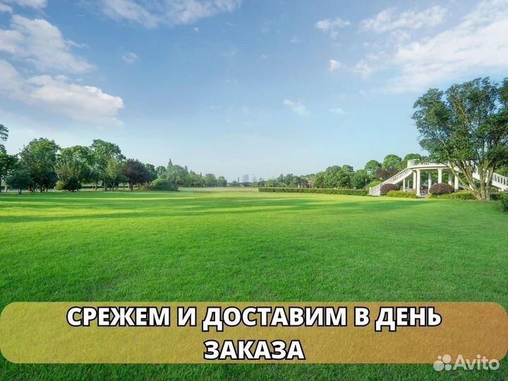 Продажа рулонного газона