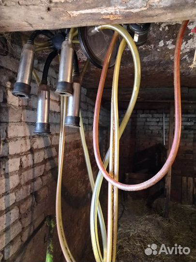 Доильный аппарат для коров бу