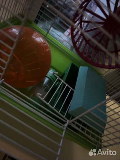 Клетка для грызунов