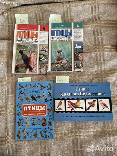 Книги о птицах