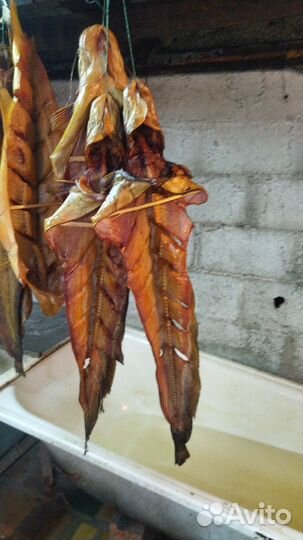 Копчение рыбы