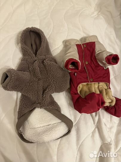 Одежда для мелких пород собак М