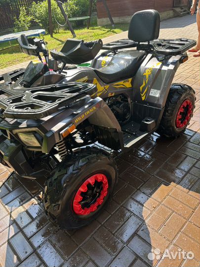 Квадроцикл wild track 200 Motoland