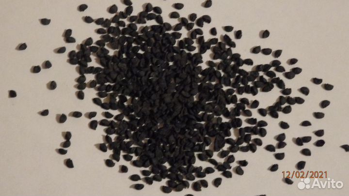 Лук шалот (семейка) семена 150 шт