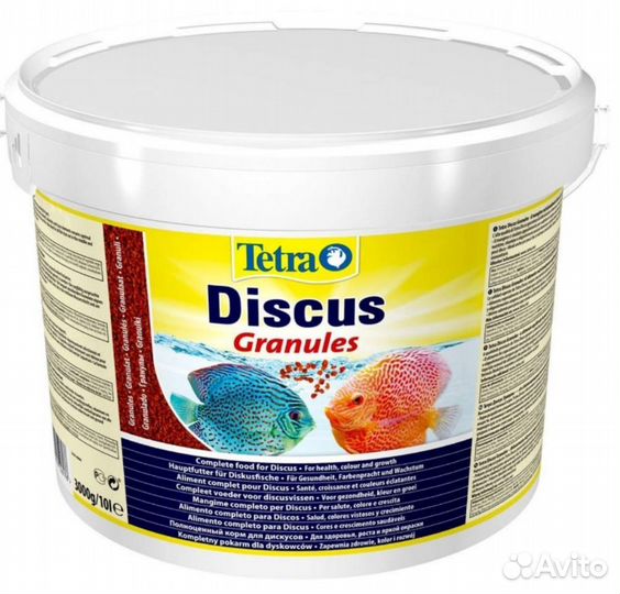 Дискус discus