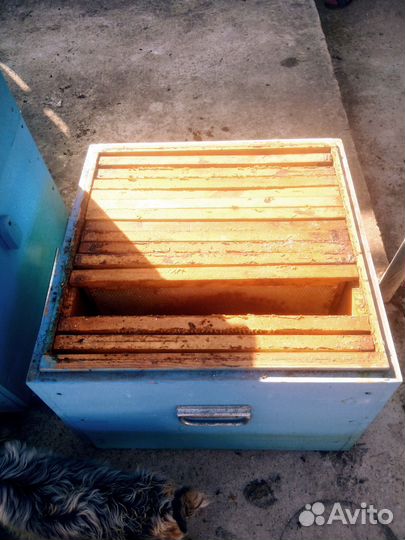 Ульи 3шт + рамки с сушью