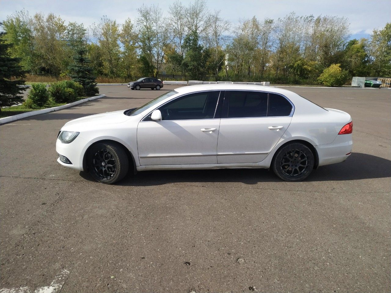 Skoda Superb: фото владельца