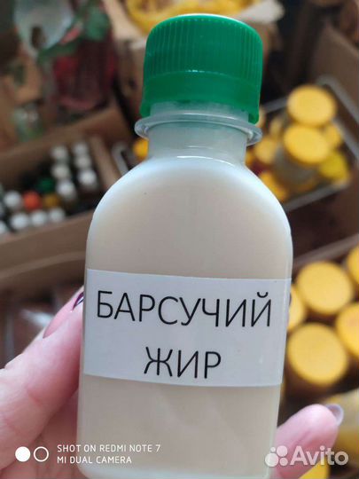 Барсучий жир. Алтай