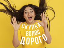 Скупка волос сдать продать волосы Красноярск