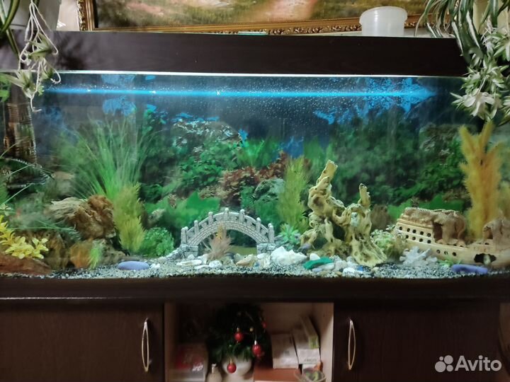 Аквариум на 390 литров