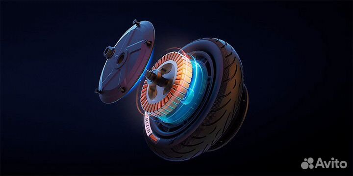 Электросамокат ninebot - Взрослый