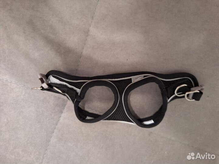 Шлейка для кошек и собак с поводком