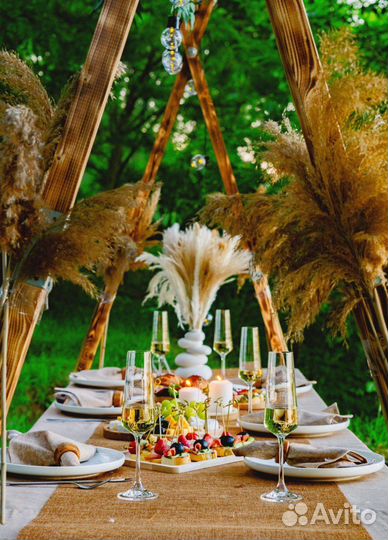 Организация праздников на природе