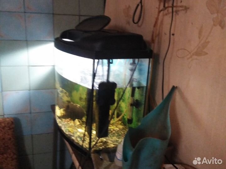Аквариум 120л