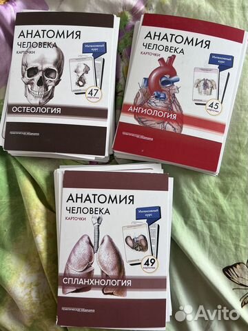 Карточки по анатомии Сапина,спланхнология и ангиология... купить в ...