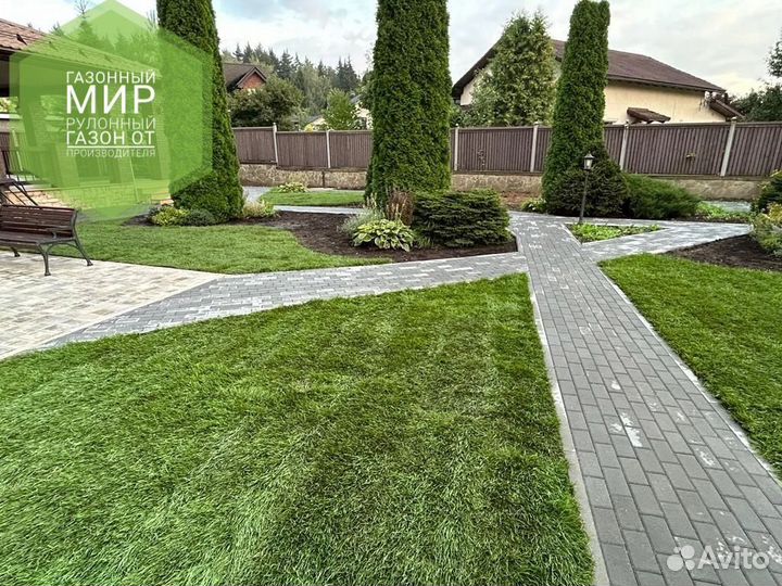 Рулонный газон