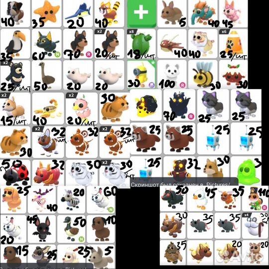 Петы адопт ми