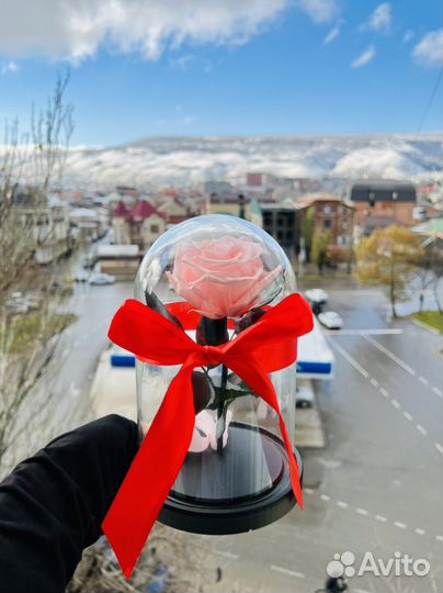 Роза в колбе