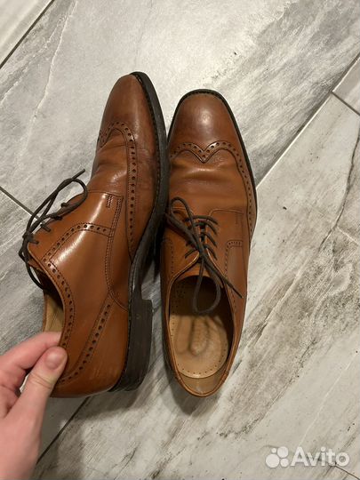 Ботинки loake evolution