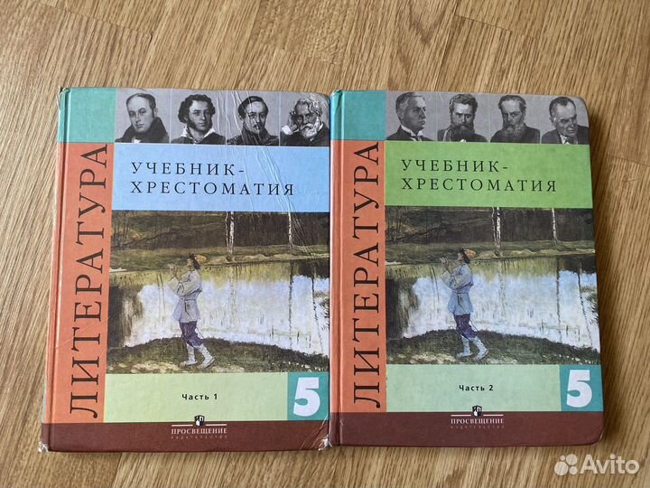 Учебник по литературе 10 класс
