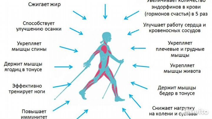 Палки для скандинавской ходьбы