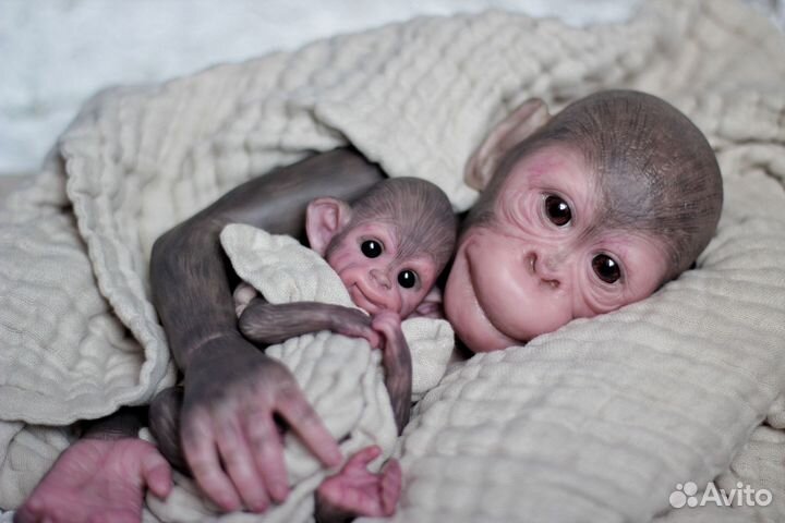 Обезьяний ребенок реборн кукла