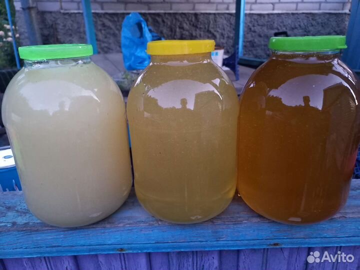 Мёд,Мед 2023 Акация Липа Разнотравие Гречка