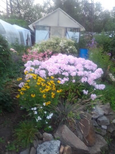 Дача 12 м² на участке 7 сот.