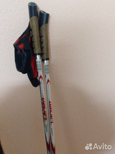 Лыжные палки