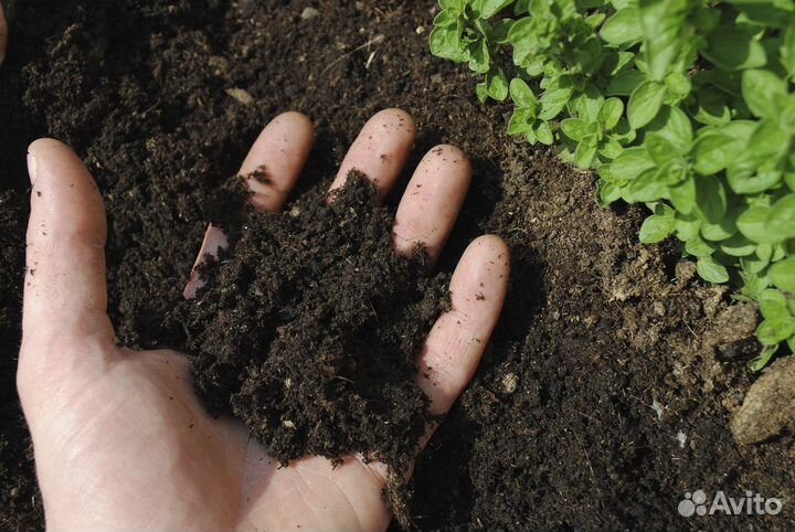 Плодородный грунт и земля быстрая доставка газоном