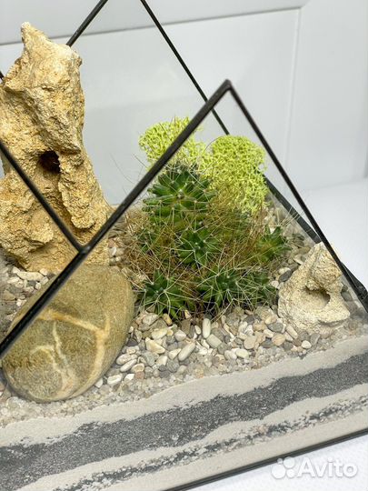 Флорариум кактусы горы подарок букет цветы