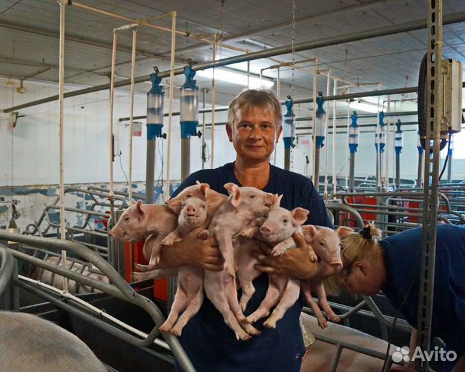 Мойщик (ца) вахта Волгоград