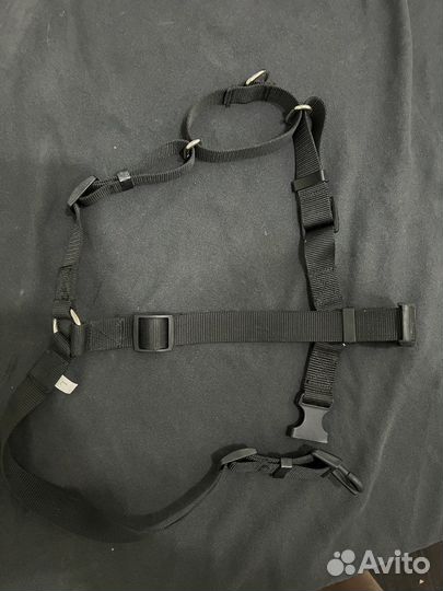 Строгий ошейник для собак