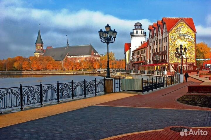 Экскурсия по Калининграду и на Куршскую Косу