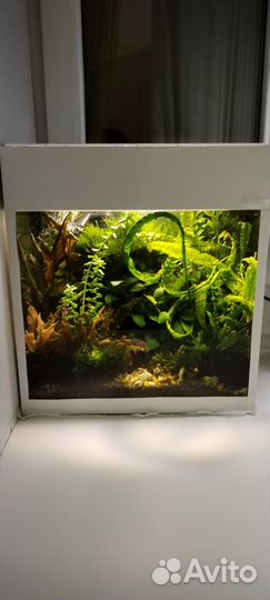 Аквариум травник