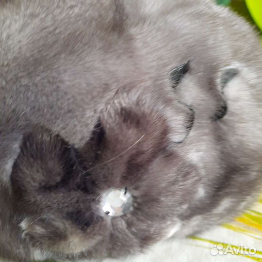 Берет женский норковый мягкий