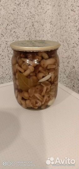 Грибы маслята подосиновики опята рыжики