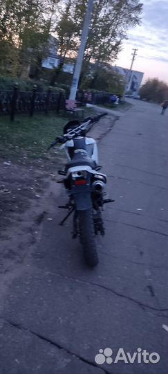 Продам racer panther