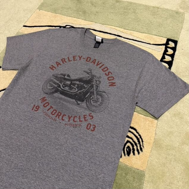 Футболка/биг лого/harley davidson/редкая очень