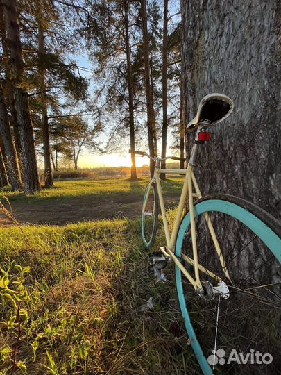 Велосипед Pure Fix Cycles The X-Ray